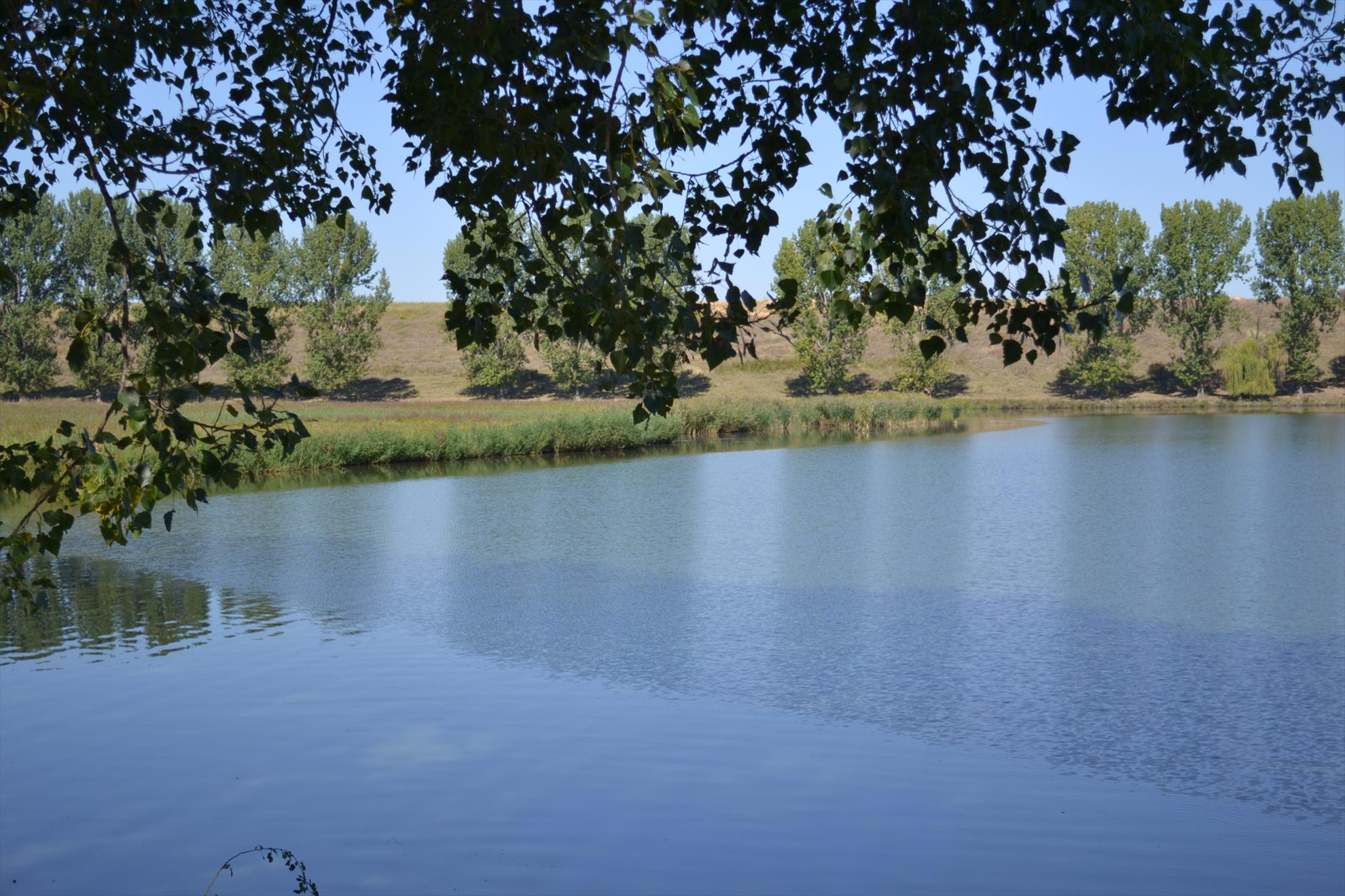 Frasinet was - become - was